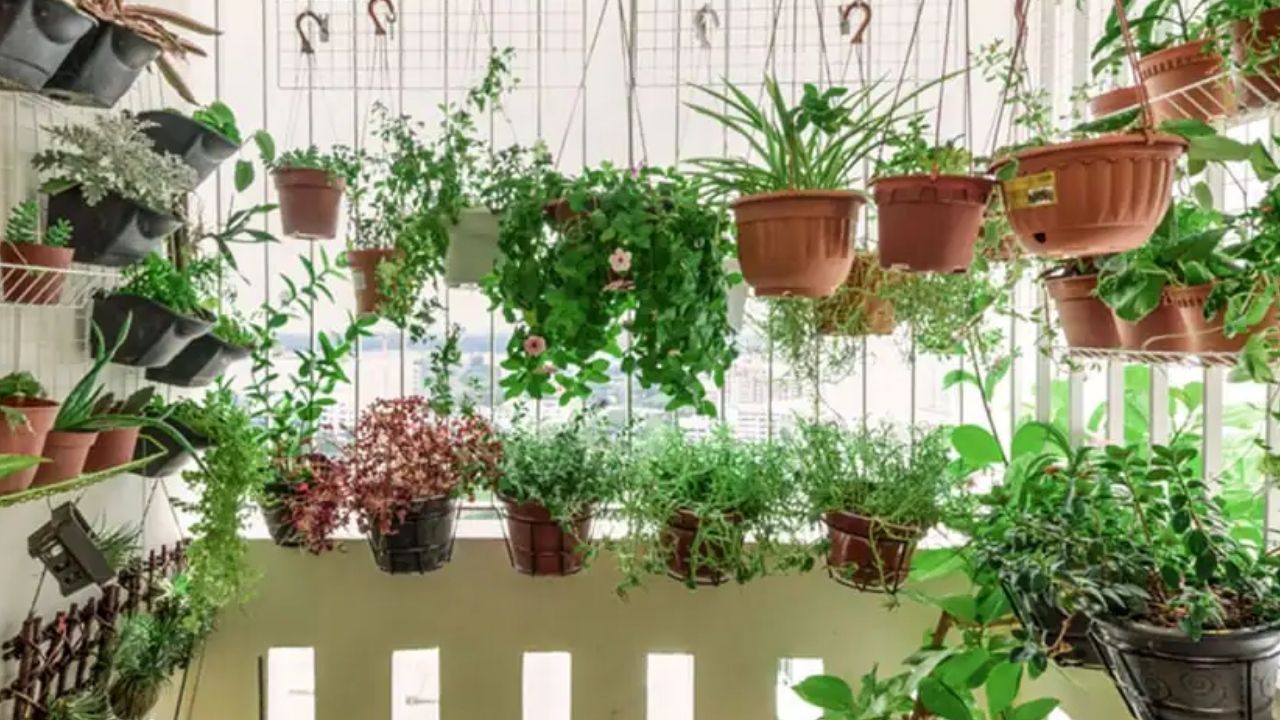 Dicas de Cultivo para Hortas Urbanas em Varandas Pequenas