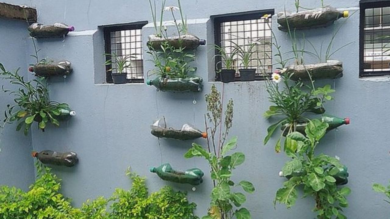 Vantagens da Horta Vertical: Sustentabilidade e Praticidade no Cultivo Urbano